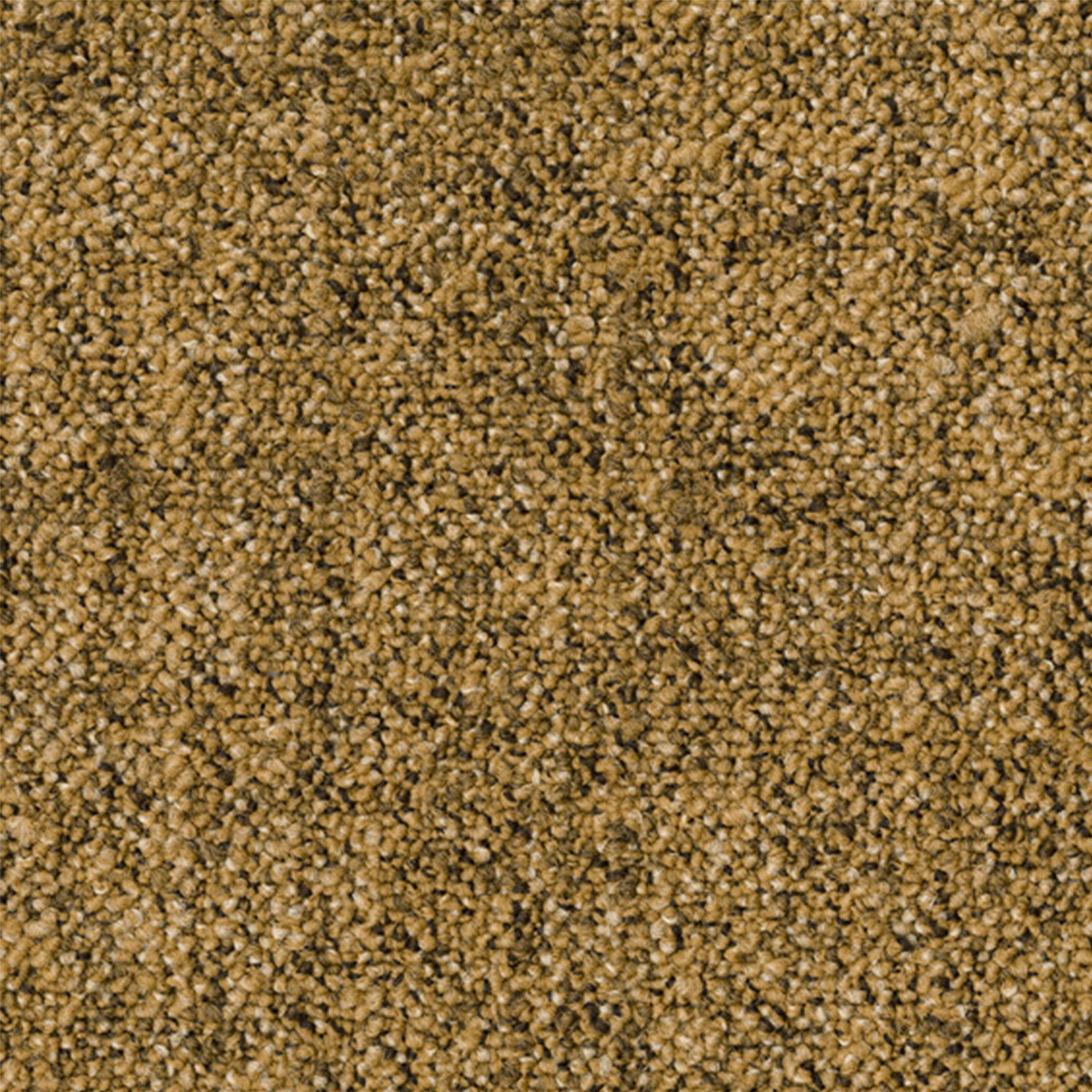 Parade tapij Linon AA83 6022-V B8 50x50 tegel | 1