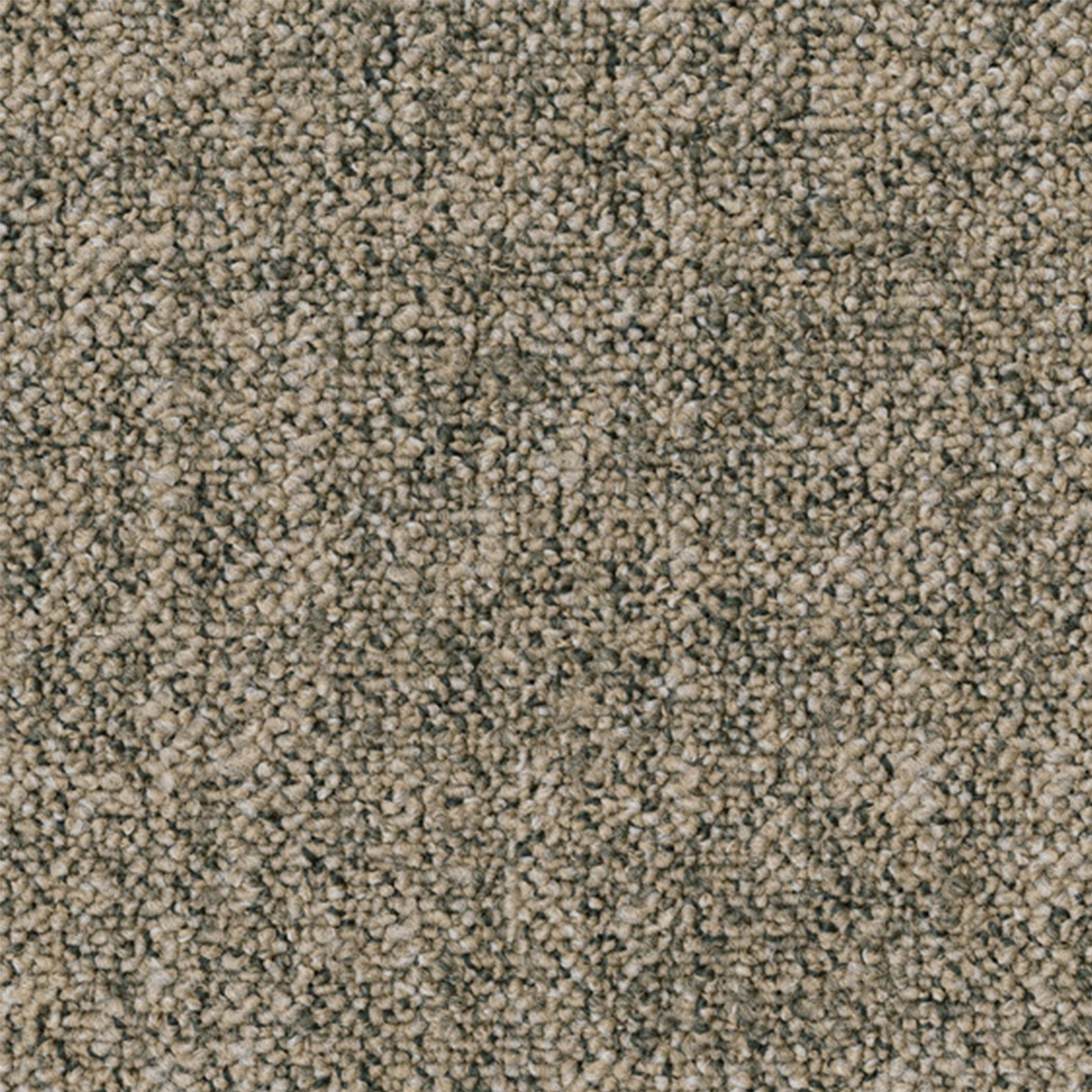 Parade tapij Linon AA83 9097-V B8 50x50 tegel | 1